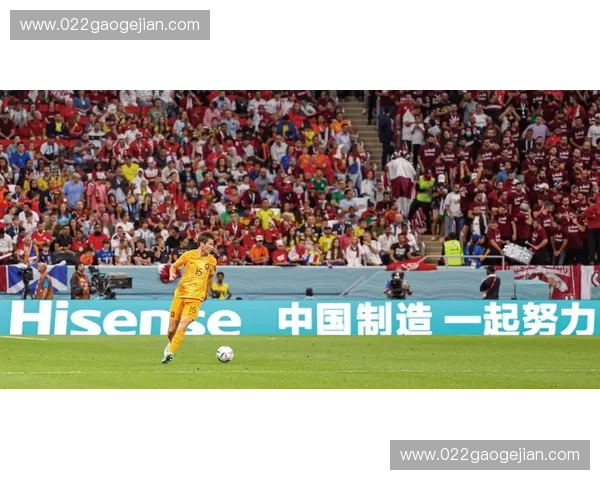 世界杯金球传奇揭秘球星荣耀背后的奋斗与巅峰瞬间